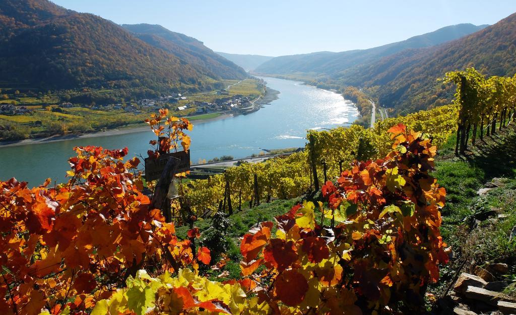 Weingut Donabaum "In Der Spitz" Apartment Spitz an der Donau Exterior foto