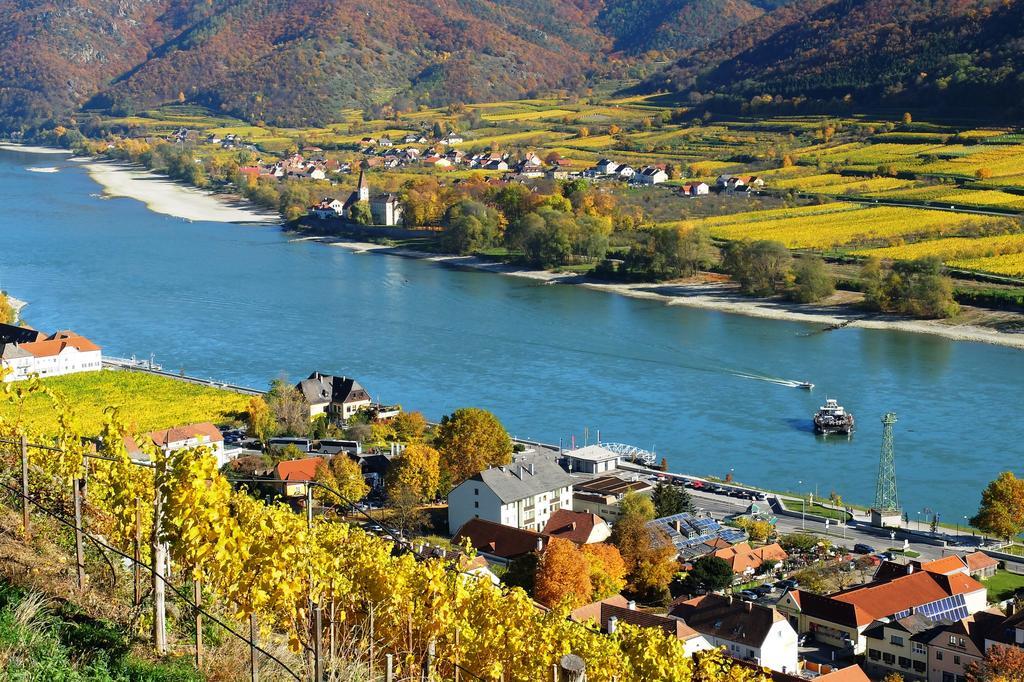 Weingut Donabaum "In Der Spitz" Apartment Spitz an der Donau Exterior foto