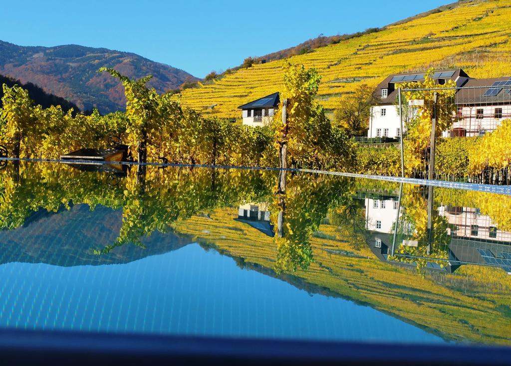 Weingut Donabaum "In Der Spitz" Apartment Spitz an der Donau Exterior foto