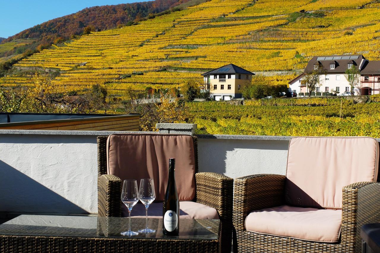 Weingut Donabaum "In Der Spitz" Apartment Spitz an der Donau Exterior foto