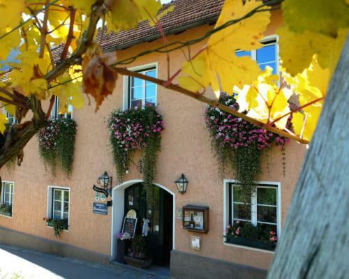 Weingut Donabaum "In Der Spitz" Apartment Spitz an der Donau Exterior foto